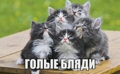 SznEM3Wxs2A0nTDhFRw5Tg_GCYDWyTX5CM6aO1Azyqags5XtuX-t_IIgFC4WwSn2SVVdB43t6Nnr2QMq1IeWU_rq.jpg